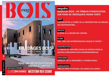 Article Bois Mag